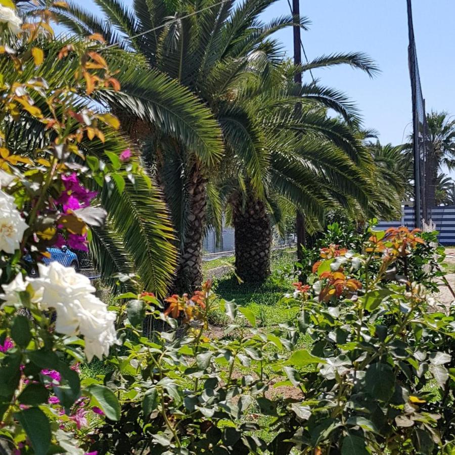 דאסיה Malibu Summer Studios מראה חיצוני תמונה
